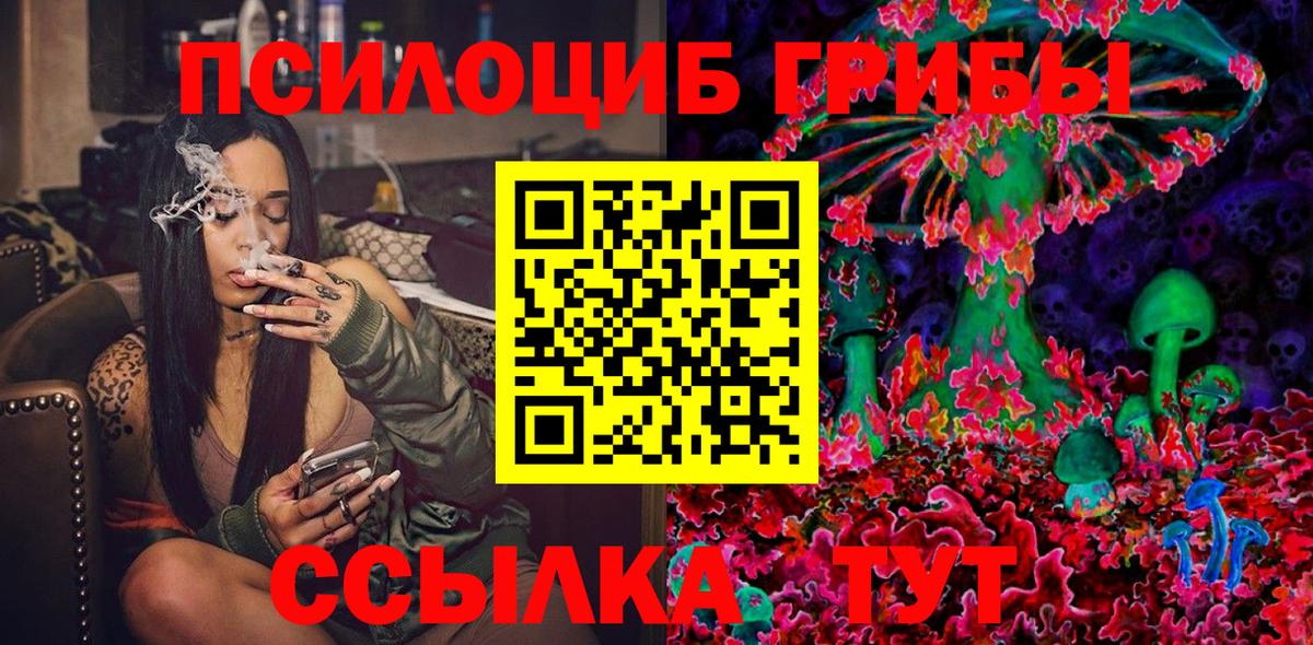 Псилоцибиновые грибы мицелий  Вход с VPN  Алатырь 