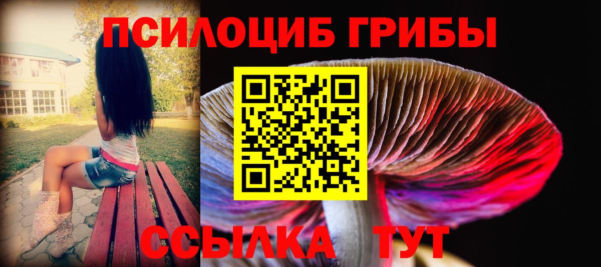 Псилоцибиновые грибы прущие грибы Алатырь